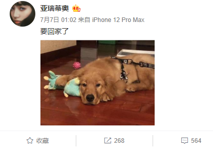 它的惨死，终于让全网不得不发声147 / 作者:儿时的回忆 / 帖子ID:287176