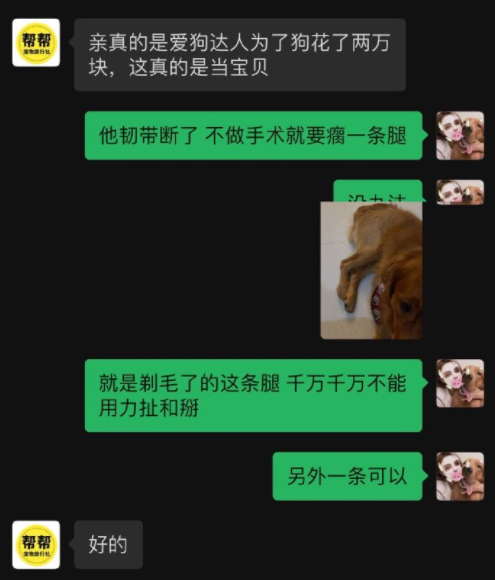 它的惨死，终于让全网不得不发声393 / 作者:儿时的回忆 / 帖子ID:287176