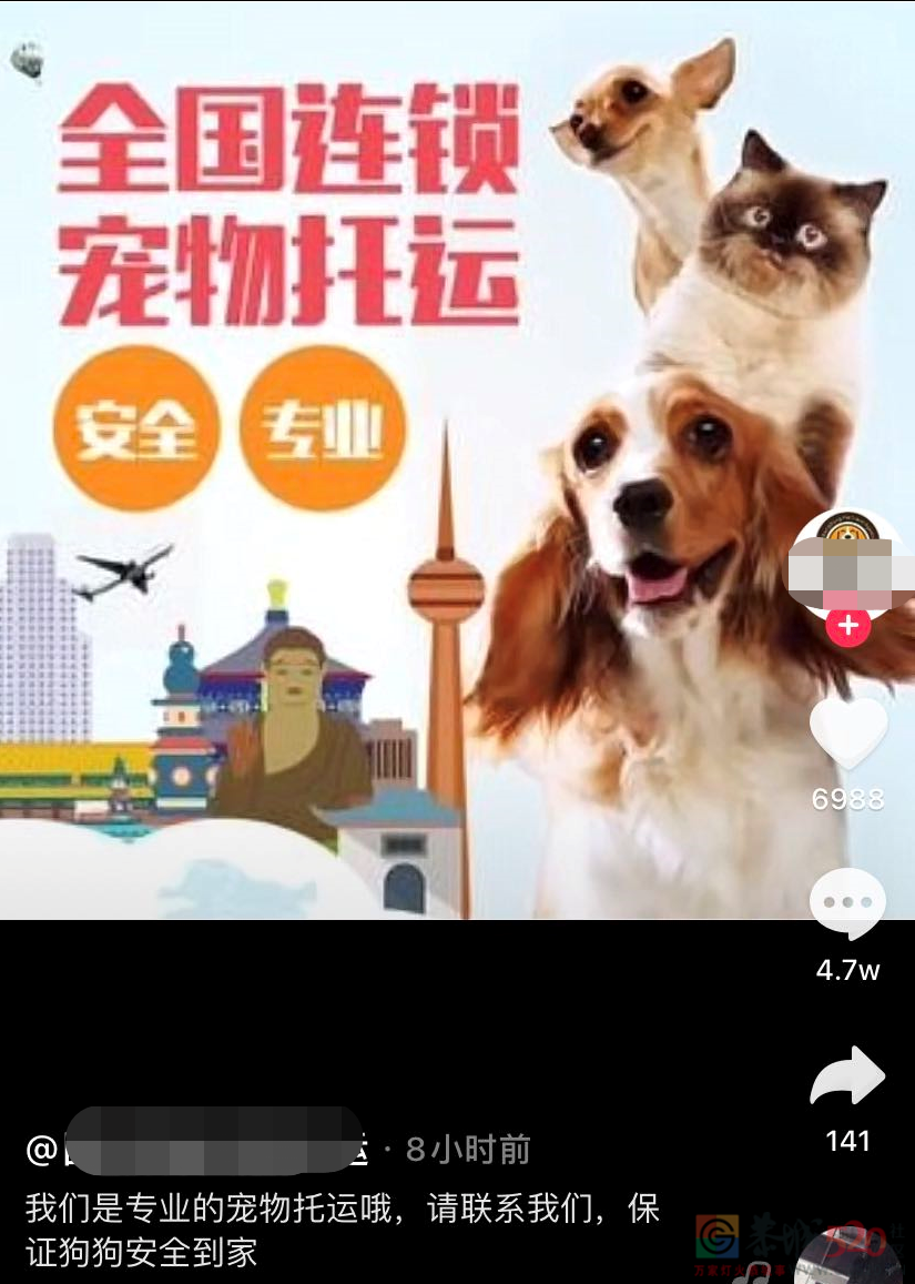 它的惨死，终于让全网不得不发声592 / 作者:儿时的回忆 / 帖子ID:287176