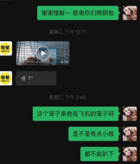 它的惨死，终于让全网不得不发声28 / 作者:儿时的回忆 / 帖子ID:287176