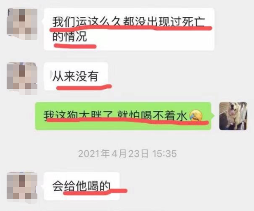 它的惨死，终于让全网不得不发声668 / 作者:儿时的回忆 / 帖子ID:287176