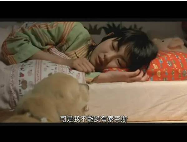 它的惨死，终于让全网不得不发声147 / 作者:儿时的回忆 / 帖子ID:287176