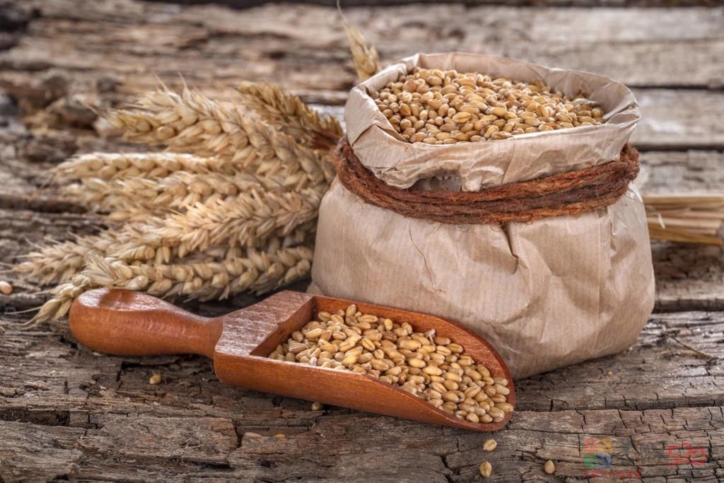 全谷物摄入多，腰围不知不觉小一圈！3100名中年人证实了这点439 / 作者:健康小天使 / 帖子ID:287269