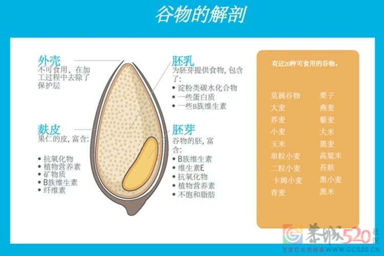 全谷物摄入多，腰围不知不觉小一圈！3100名中年人证实了这点422 / 作者:健康小天使 / 帖子ID:287269