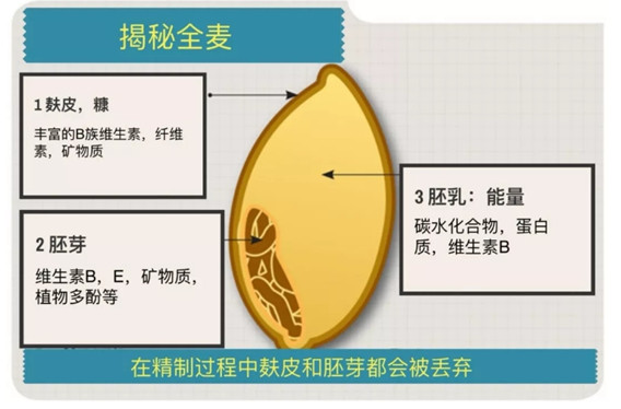 全谷物摄入多，腰围不知不觉小一圈！3100名中年人证实了这点925 / 作者:健康小天使 / 帖子ID:287269