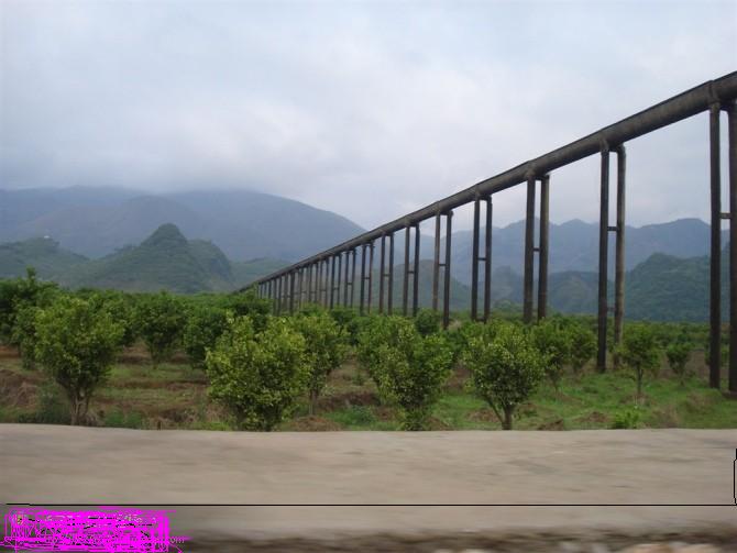 这是克黄竹岗的路上677 / 作者:罗少爷 / 帖子ID:283887