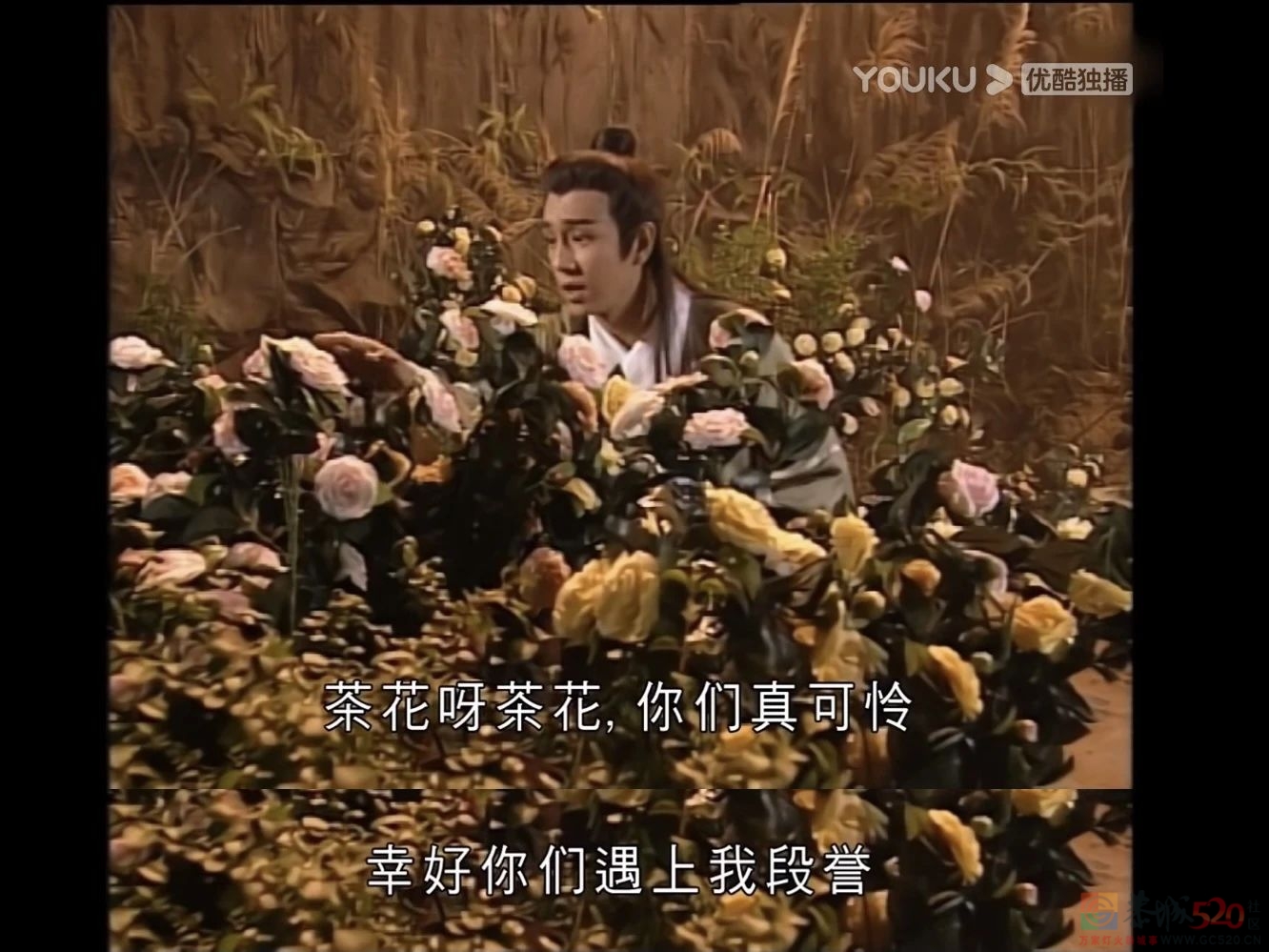 3.4分，它翻车在一个字上772 / 作者:该做的事情 / 帖子ID:288204
