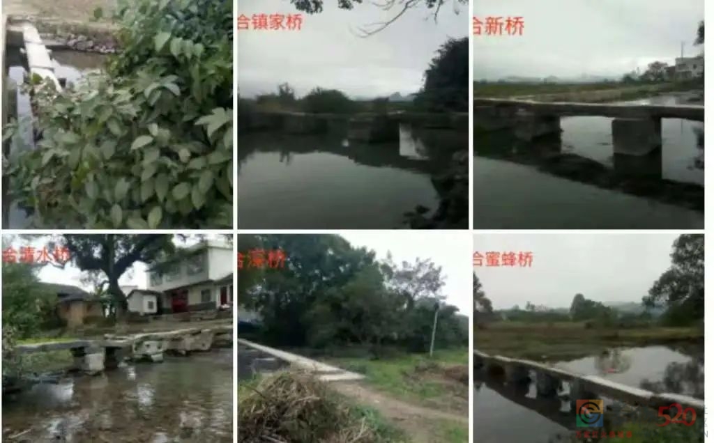 乡村游记（之七）942 / 作者:论坛小编01 / 帖子ID:288269
