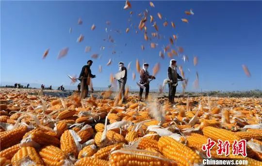 亿万中国农民，节日快乐！707 / 作者:登山涉水 / 帖子ID:289121