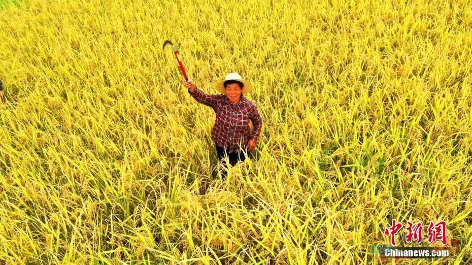 亿万中国农民，节日快乐！414 / 作者:登山涉水 / 帖子ID:289121