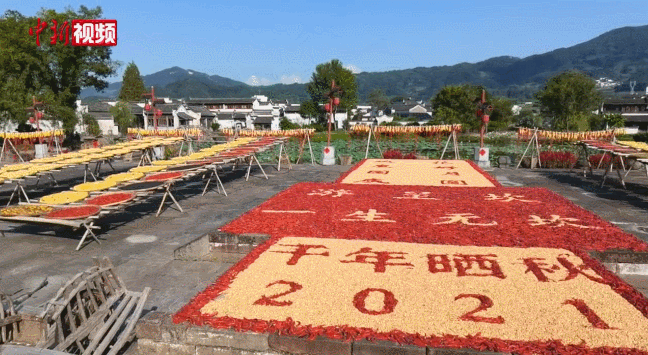 亿万中国农民，节日快乐！810 / 作者:登山涉水 / 帖子ID:289121