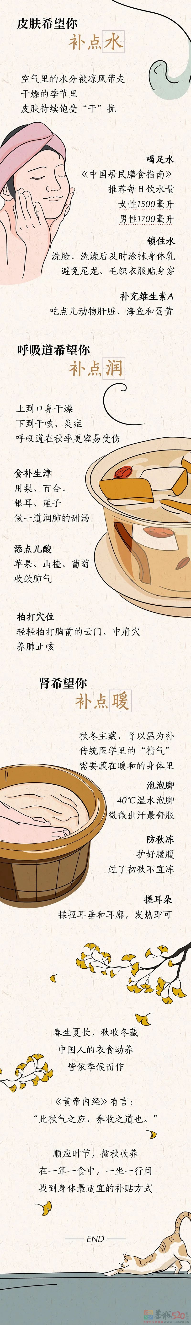 秋日“正经”进补指南897 / 作者:健康小天使 / 帖子ID:289464