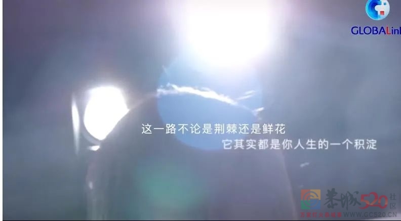 断更80天，李子柒不再沉默：你们错了，我还是我84 / 作者:向向Angel / 帖子ID:289472