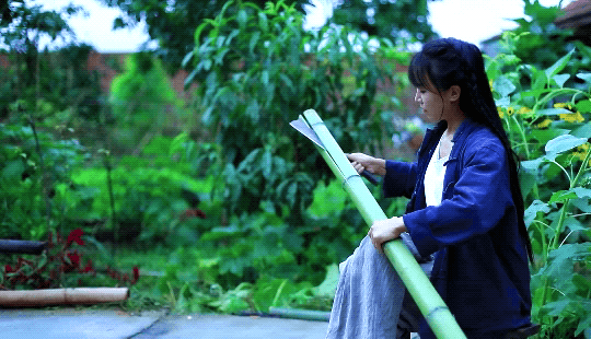 断更80天，李子柒不再沉默：你们错了，我还是我513 / 作者:向向Angel / 帖子ID:289472