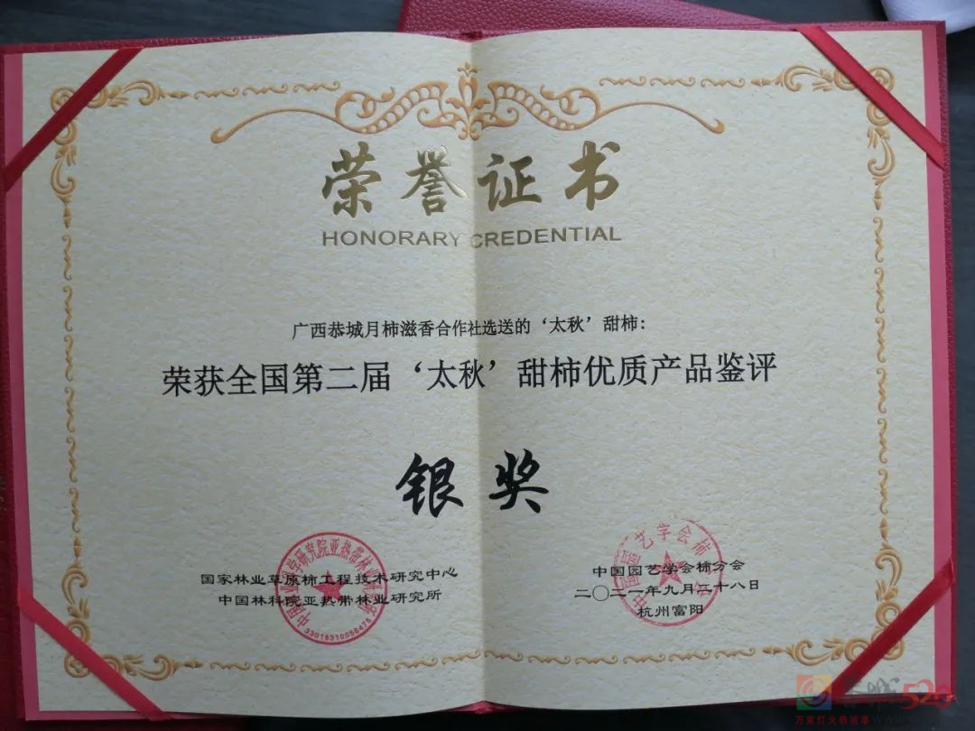 恭城甜柿在全国第二届“太秋”甜柿优质产品鉴评大会上荣获1金3银627 / 作者:论坛小编01 / 帖子ID:289481