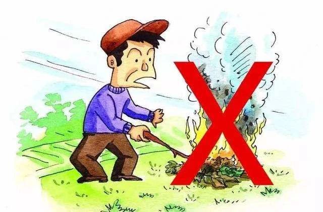 田间烧草引山火  无视安全酿成错341 / 作者:论坛小编01 / 帖子ID:289573