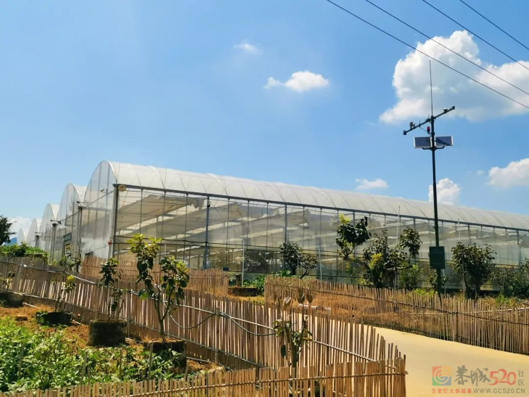 桂林恭城积极推进数字乡村建设，开拓乡村振兴新路径377 / 作者:论坛小编01 / 帖子ID:289588