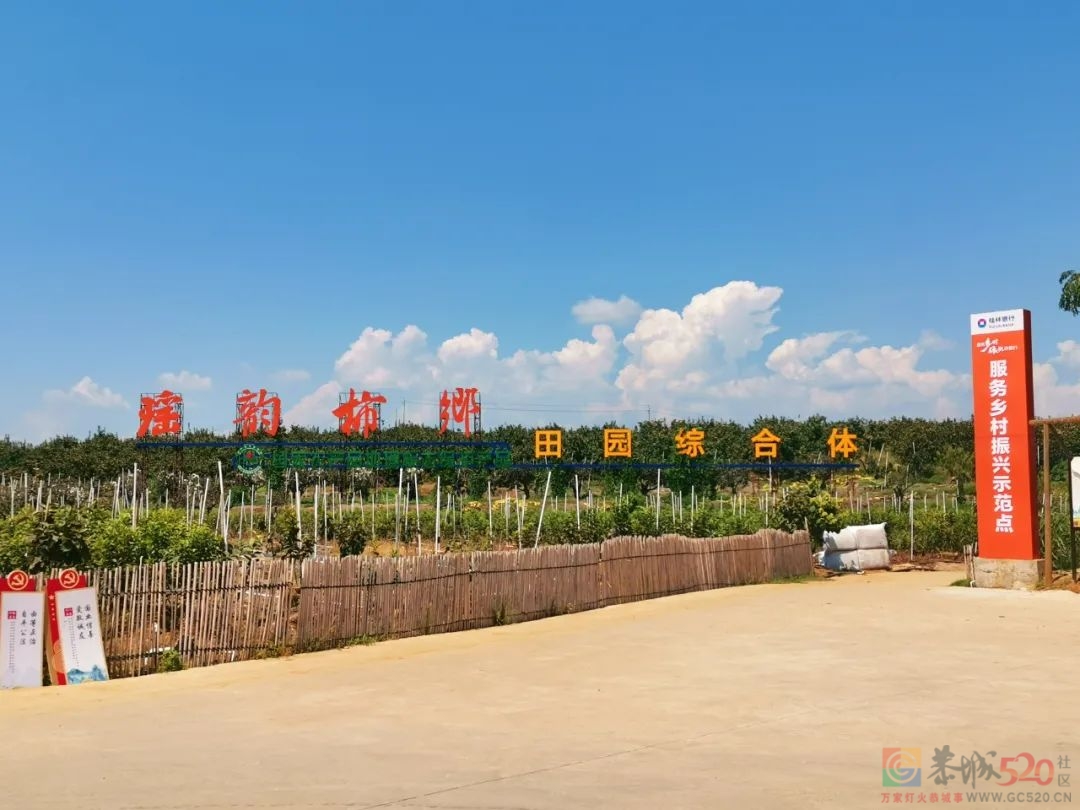 桂林恭城积极推进数字乡村建设，开拓乡村振兴新路径645 / 作者:论坛小编01 / 帖子ID:289588