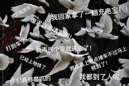 你曾经因为什么而被放鸽子呢？来吐槽一下！556 / 作者:论坛小编01 / 帖子ID:289703