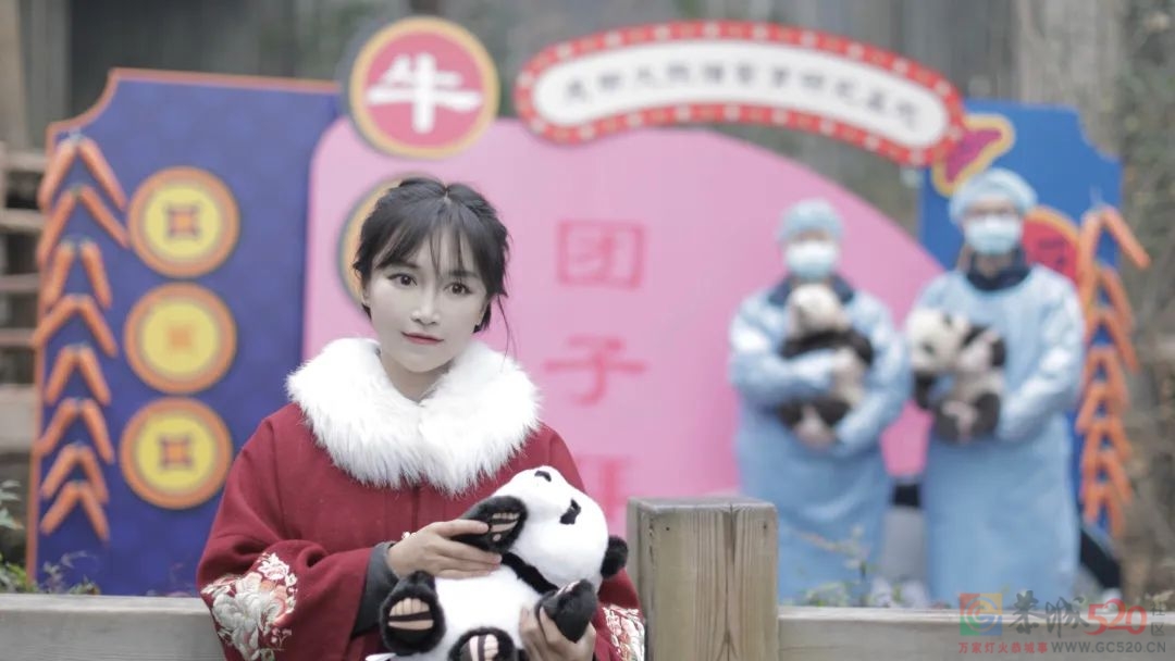 停更三个月的李子柒怎么了?337 / 作者:儿时的回忆 / 帖子ID:289722
