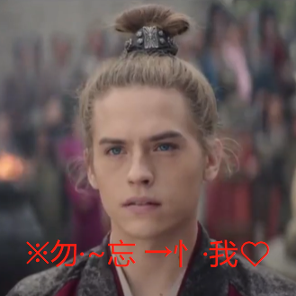 冷静，千万不要对这年度烂片好奇982 / 作者:该做的事情 / 帖子ID:289830