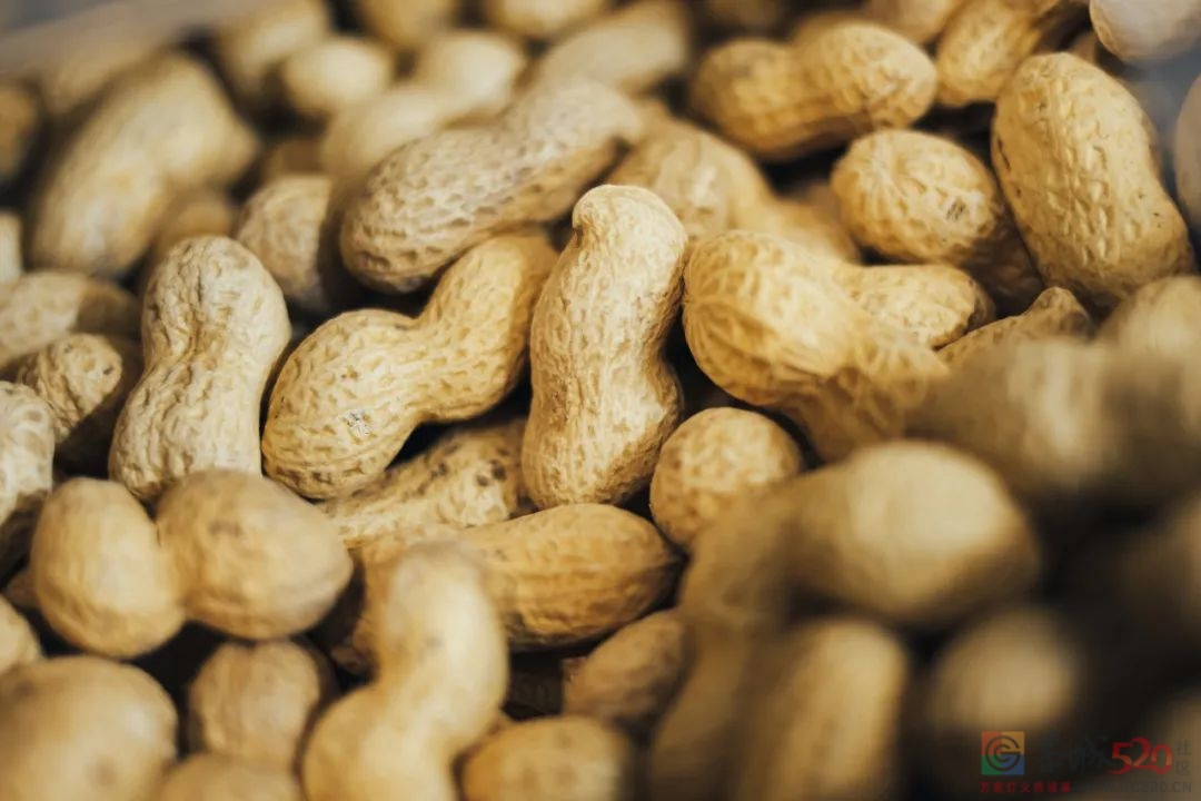 科学家评估了5800多种食物，最“延寿”的食物是它518 / 作者:健康小天使 / 帖子ID:289930