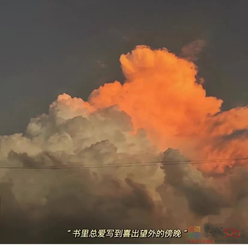 词穷的年轻人，连朋友圈文案都要花钱买了411 / 作者:儿时的回忆 / 帖子ID:289988