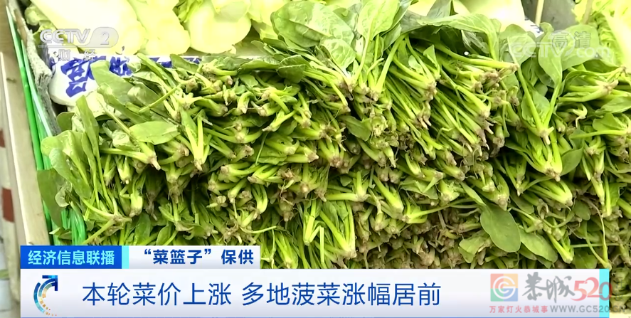 菠菜20元/斤？！菜比肉贵？全国一周均价涨近30%！啥情况？488 / 作者:分叉路口 / 帖子ID:290052