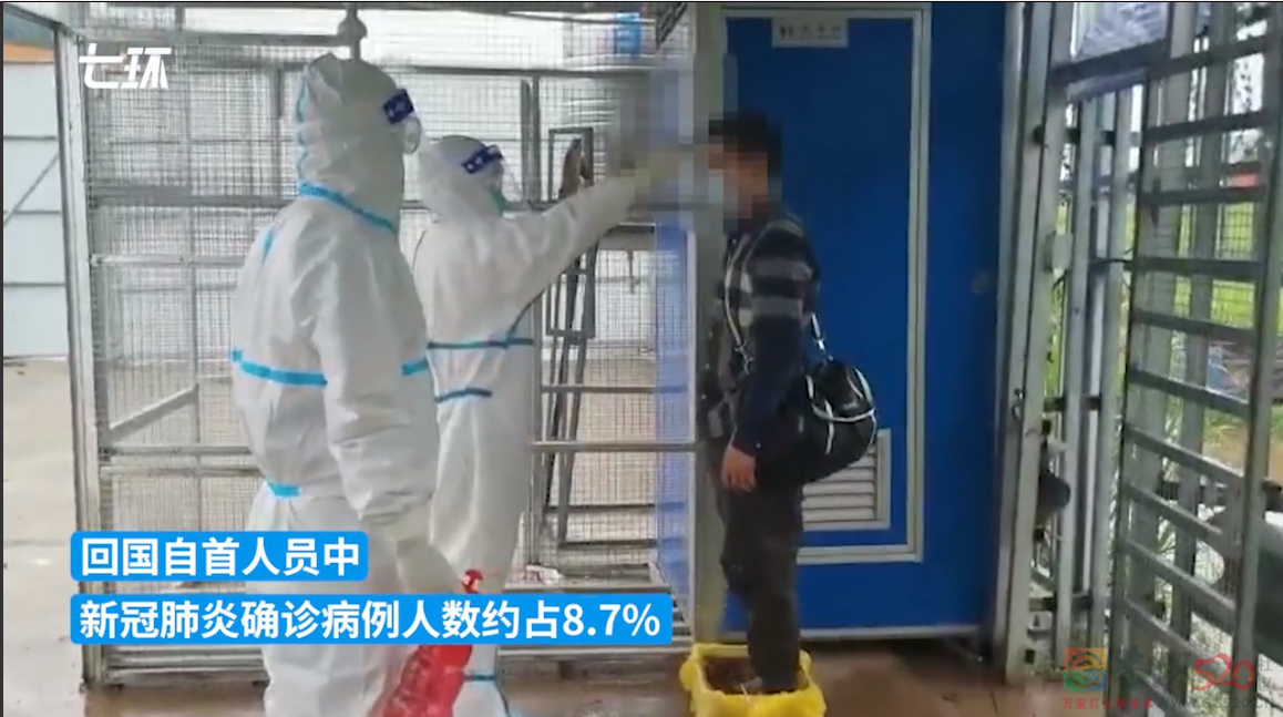 偷渡人员在瑞丽排队回国自首，画面曝光182 / 作者:分叉路口 / 帖子ID:290104