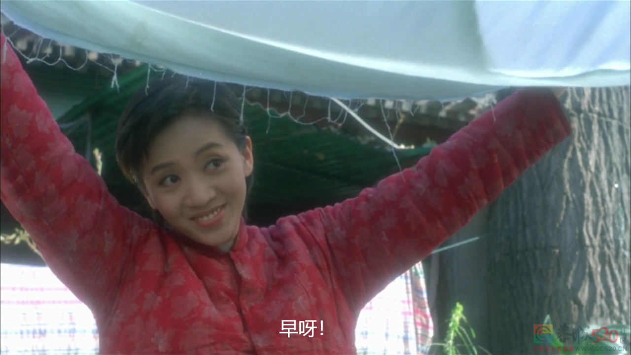 休想从南方人身上扒下这件丑衣服92 / 作者:儿时的回忆 / 帖子ID:290563