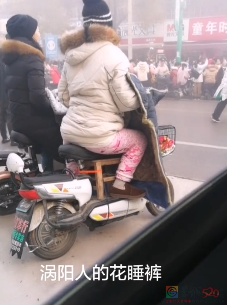 休想从南方人身上扒下这件丑衣服482 / 作者:儿时的回忆 / 帖子ID:290563