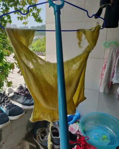 休想从南方人身上扒下这件丑衣服89 / 作者:儿时的回忆 / 帖子ID:290563