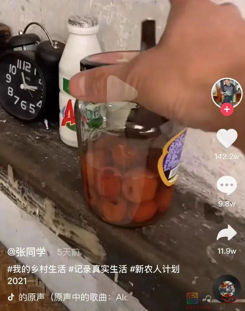 “张同学”出圈背后：被土味误读的田园浪漫371 / 作者:儿时的回忆 / 帖子ID:290873