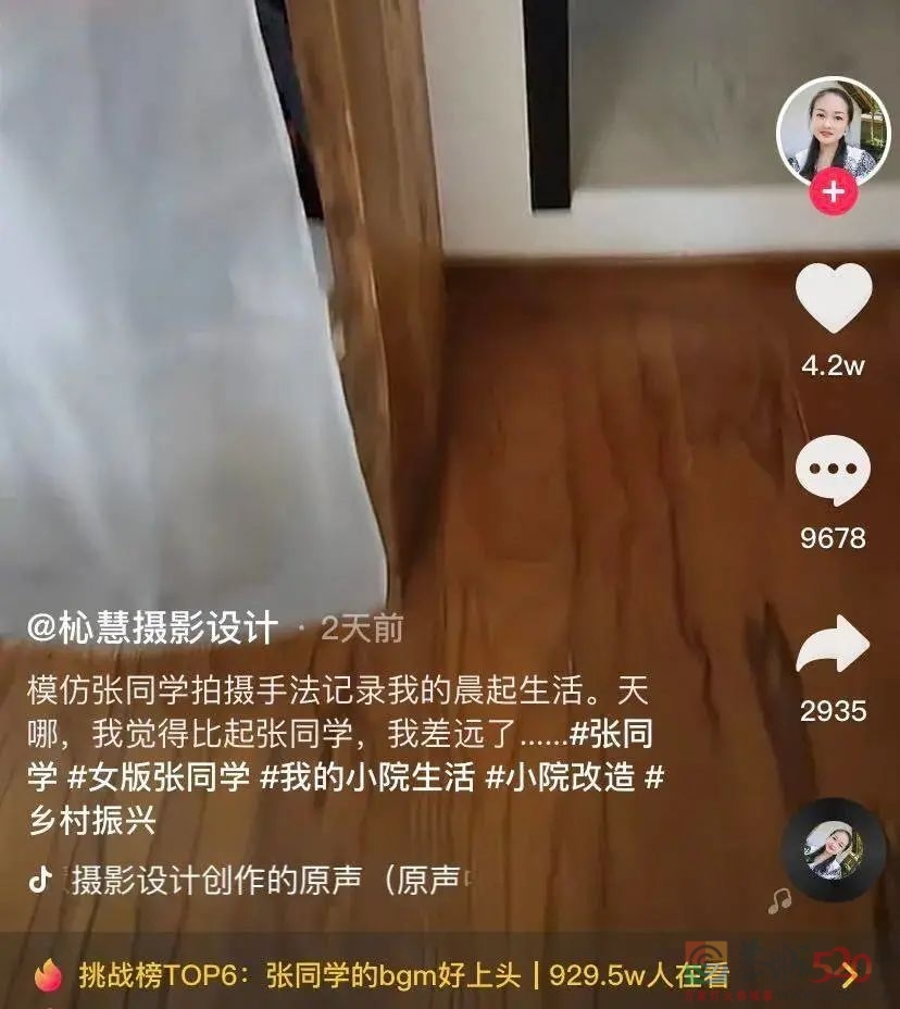 “张同学”出圈背后：被土味误读的田园浪漫582 / 作者:儿时的回忆 / 帖子ID:290873