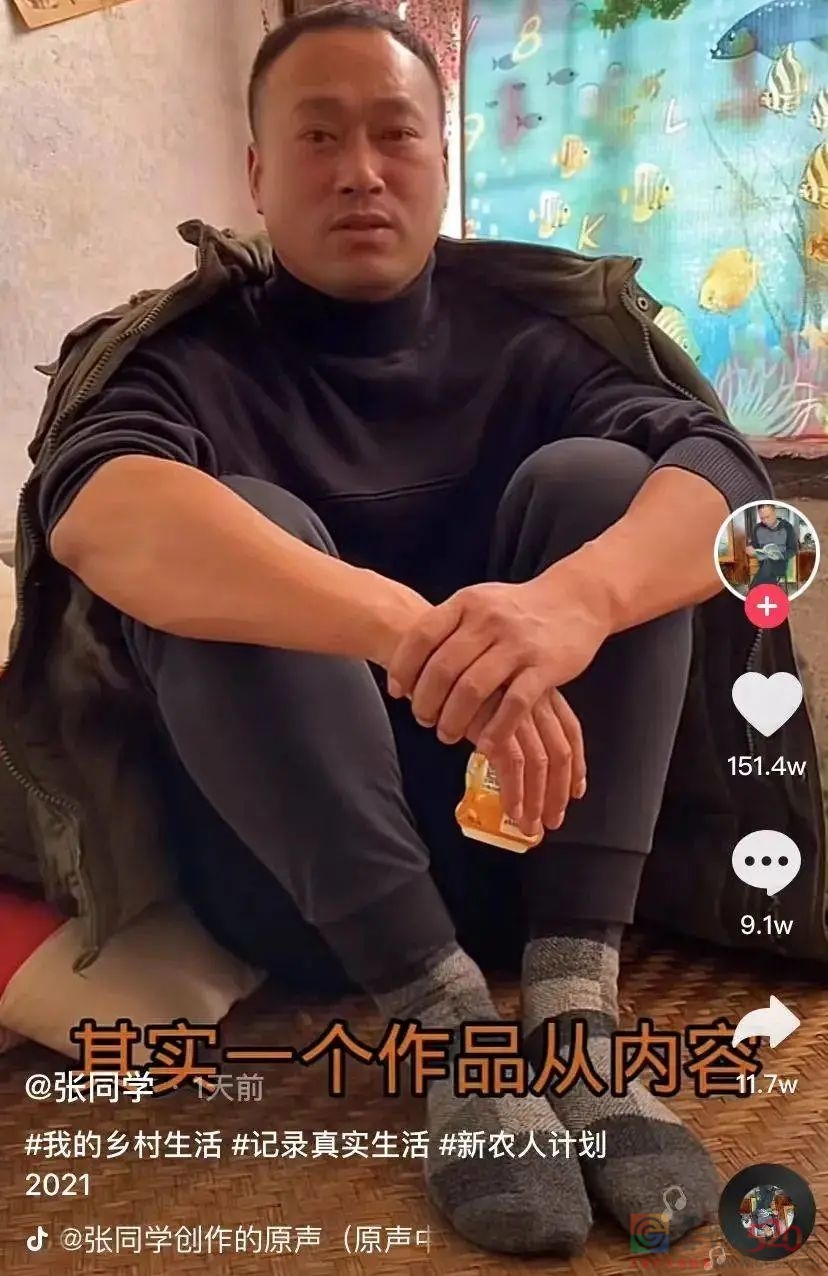 “张同学”出圈背后：被土味误读的田园浪漫853 / 作者:儿时的回忆 / 帖子ID:290873