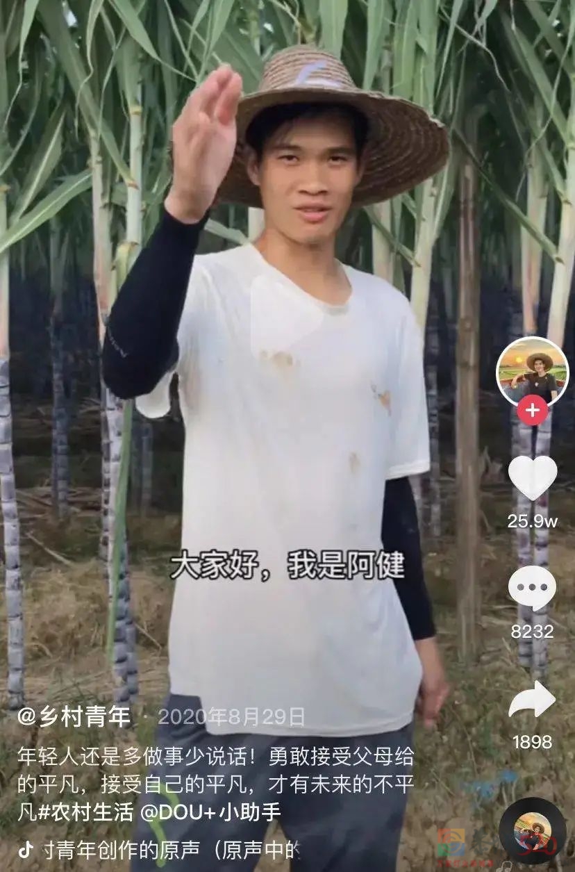 “张同学”出圈背后：被土味误读的田园浪漫232 / 作者:儿时的回忆 / 帖子ID:290873