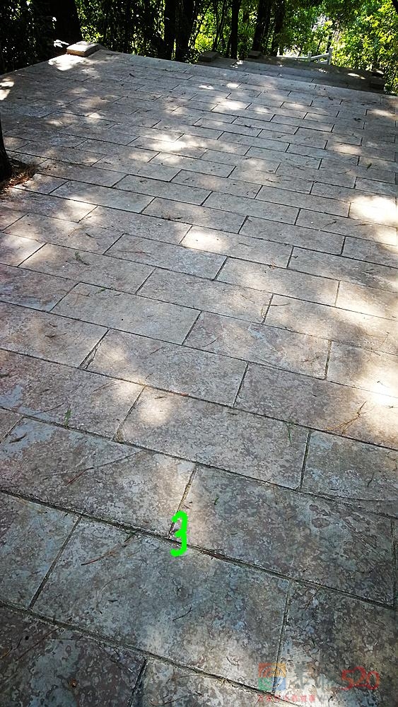 文武小广场至烈士塔这段台阶太滑了！244 / 作者:平安大叔 / 帖子ID:290880