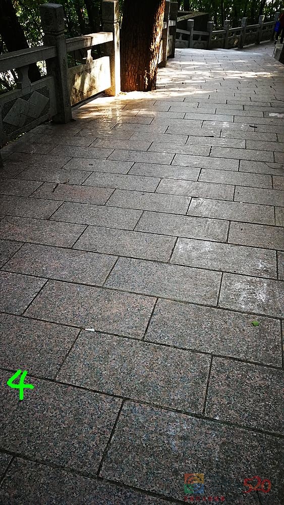 文武小广场至烈士塔这段台阶太滑了！951 / 作者:平安大叔 / 帖子ID:290880