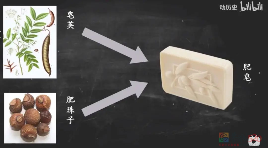 如何成为这个冬天最会搓澡的人（南方人入门版）827 / 作者:健康小天使 / 帖子ID:291353