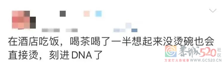 在饭店不烫碗，广东人根本吃不下饭505 / 作者:儿时的回忆 / 帖子ID:291765