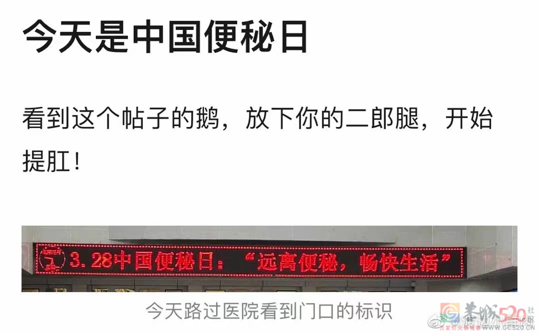 今天是中国便秘日！转发这条帖子祝你永不便秘！981 / 作者:闲不住a / 帖子ID:294027