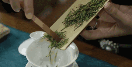 喝茶真的能“刮油”吗？来看看科学的解释77 / 作者:健康小天使 / 帖子ID:294077