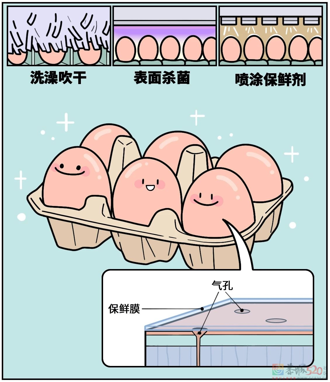 鸡蛋上最脏的东西可能被你吃进去了！（不是鸡屎）530 / 作者:健康小天使 / 帖子ID:294523
