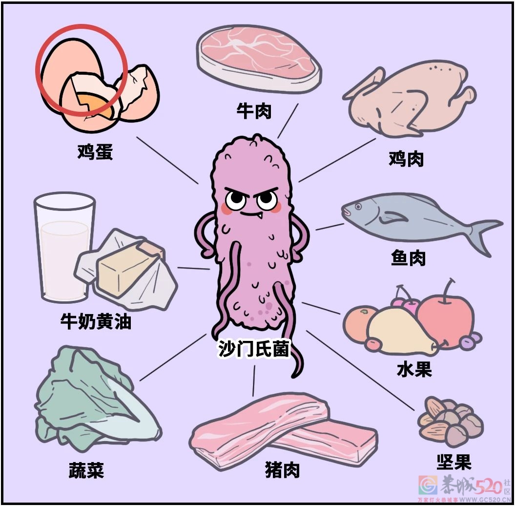 鸡蛋上最脏的东西可能被你吃进去了！（不是鸡屎）991 / 作者:健康小天使 / 帖子ID:294523