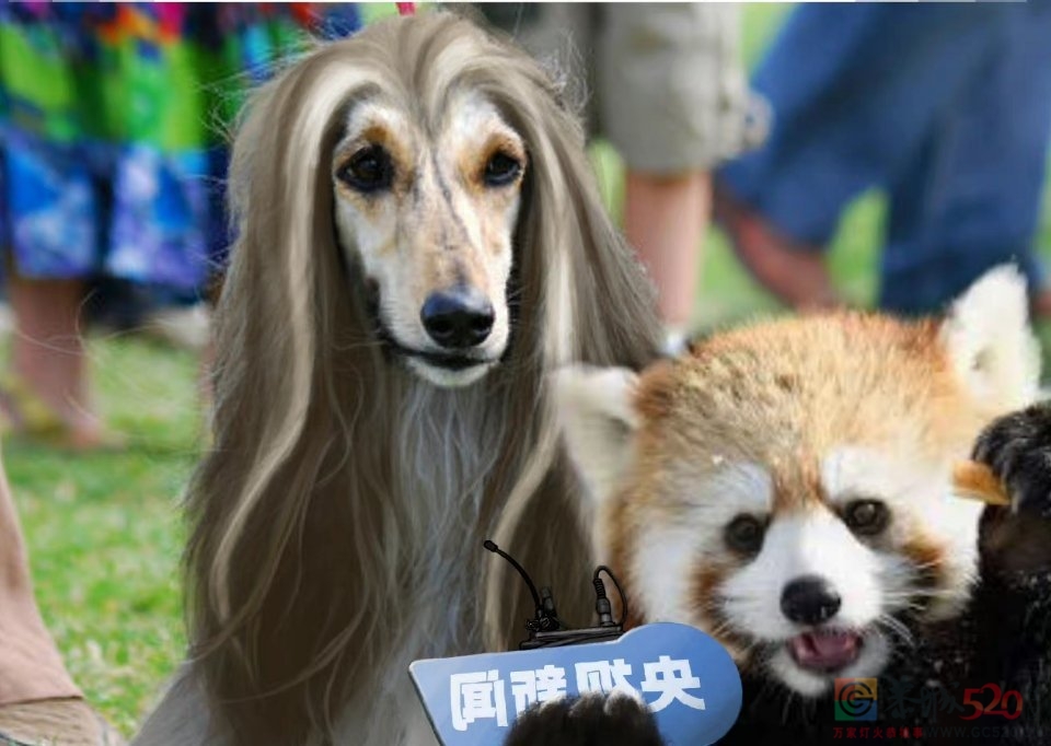 三十岁的甜妹，二十岁的御姐215 / 作者:圆月小侠 / 帖子ID:294576