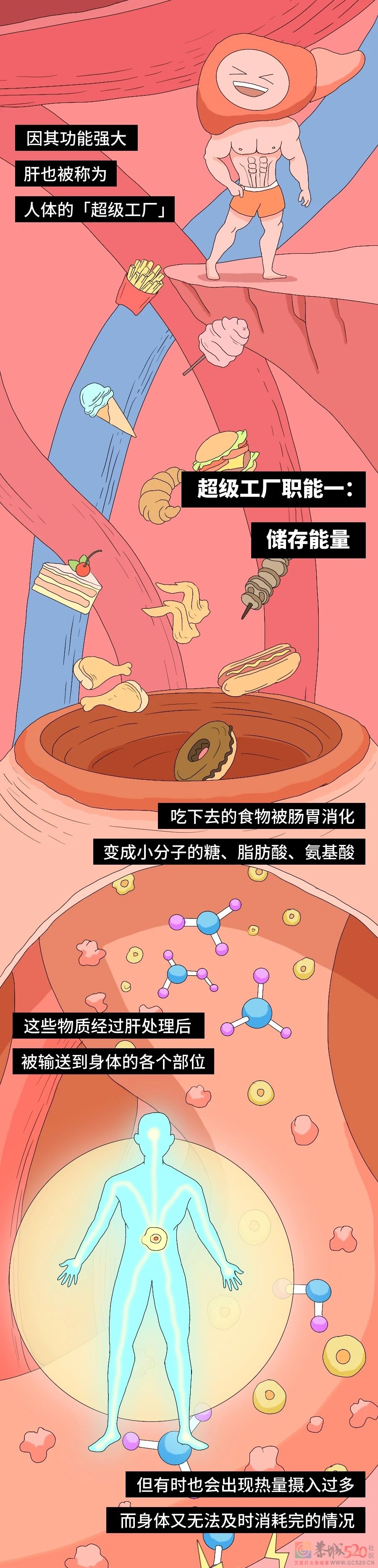 你的肝，就是这样被你累死的563 / 作者:健康小天使 / 帖子ID:294680