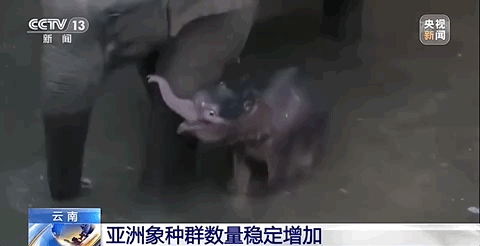为了你，我们还能做更多！118 / 作者:登山涉水 / 帖子ID:294710
