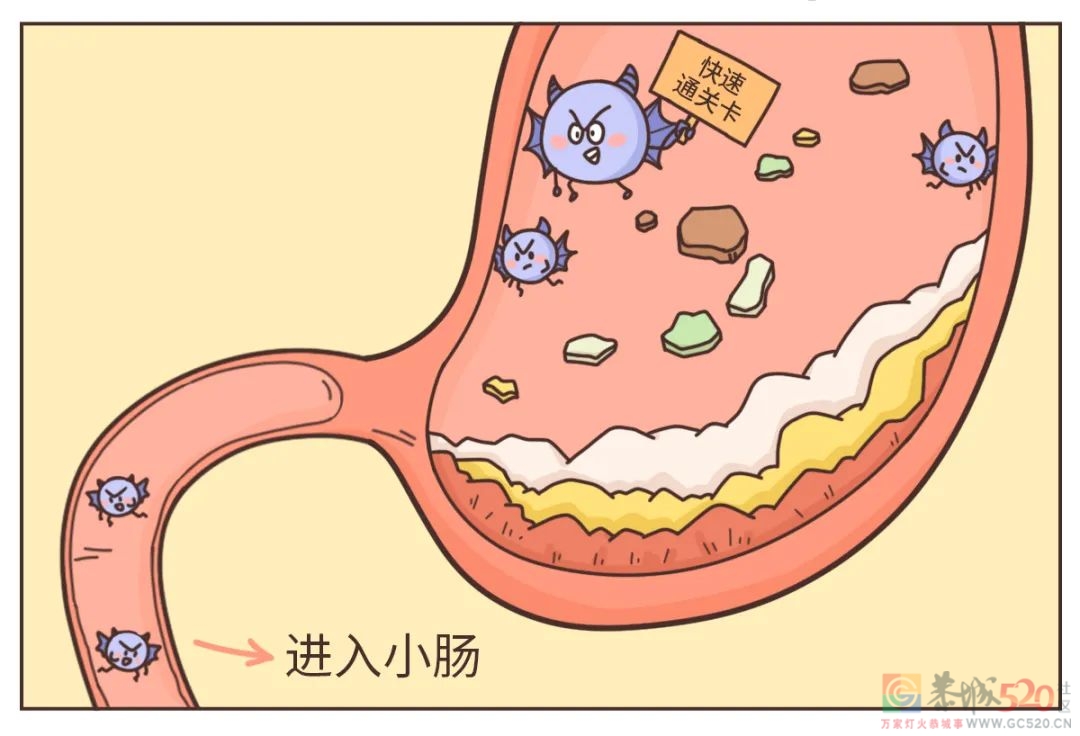 喝醉后的 12 小时，身体都发生了什么？455 / 作者:健康小天使 / 帖子ID:294759
