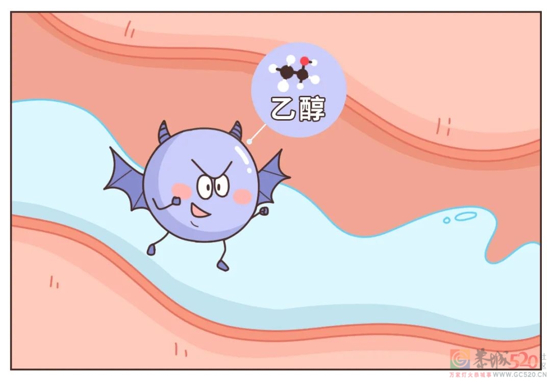 喝醉后的 12 小时，身体都发生了什么？865 / 作者:健康小天使 / 帖子ID:294759