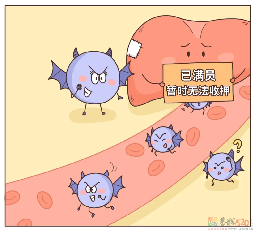 喝醉后的 12 小时，身体都发生了什么？351 / 作者:健康小天使 / 帖子ID:294759